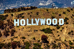 hollywood